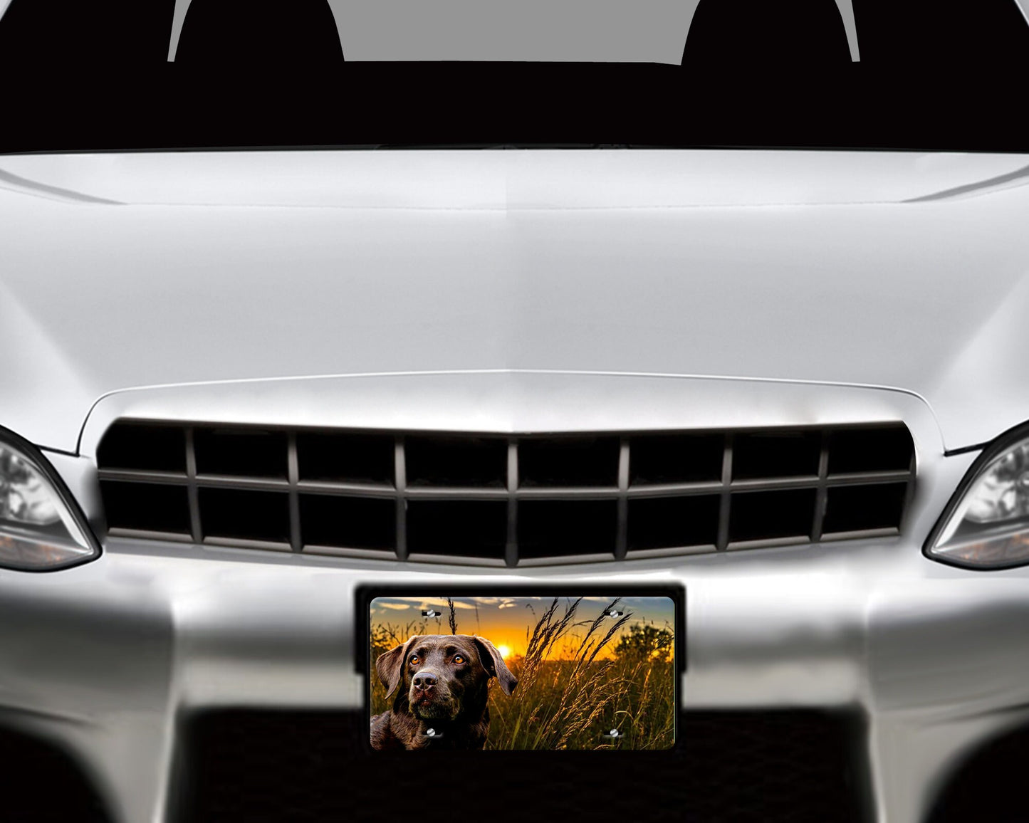 Chocolate Lab Labrador Pet Lovers Dog Aluminum Vanity License Plate Car Accessory Decorative Front Plate