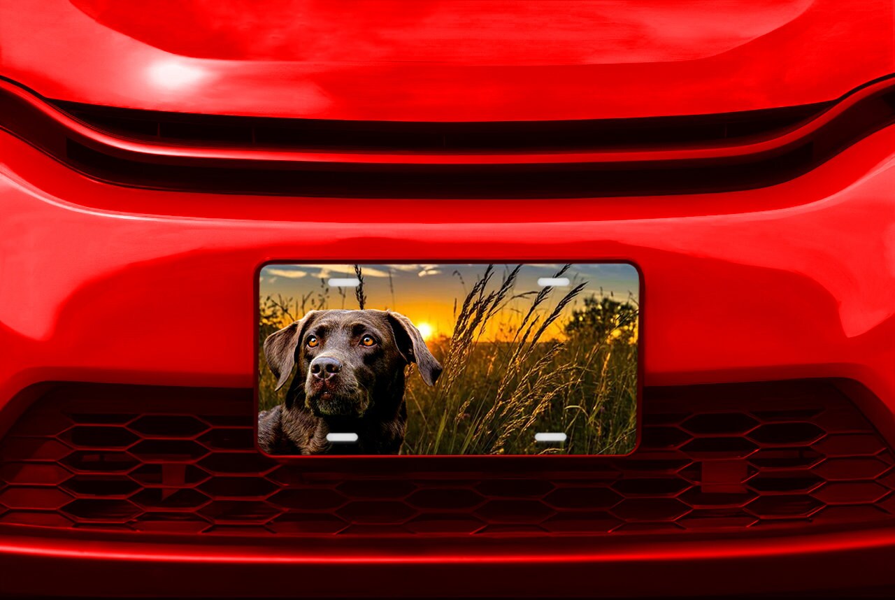 Chocolate Lab Labrador Pet Lovers Dog Aluminum Vanity License Plate Car Accessory Decorative Front Plate