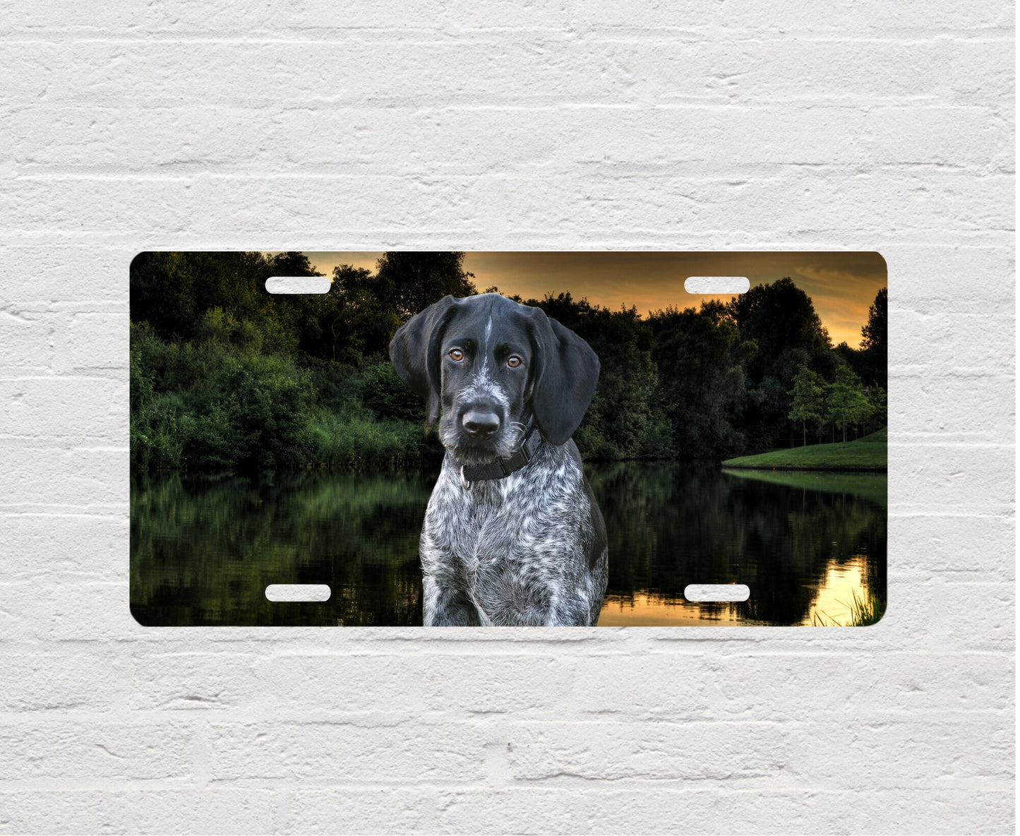 German Short Haired Pointer at Lake Pet Lovers Dog Aluminum Vanity License Plate Car Accessory Decorative Front Plate