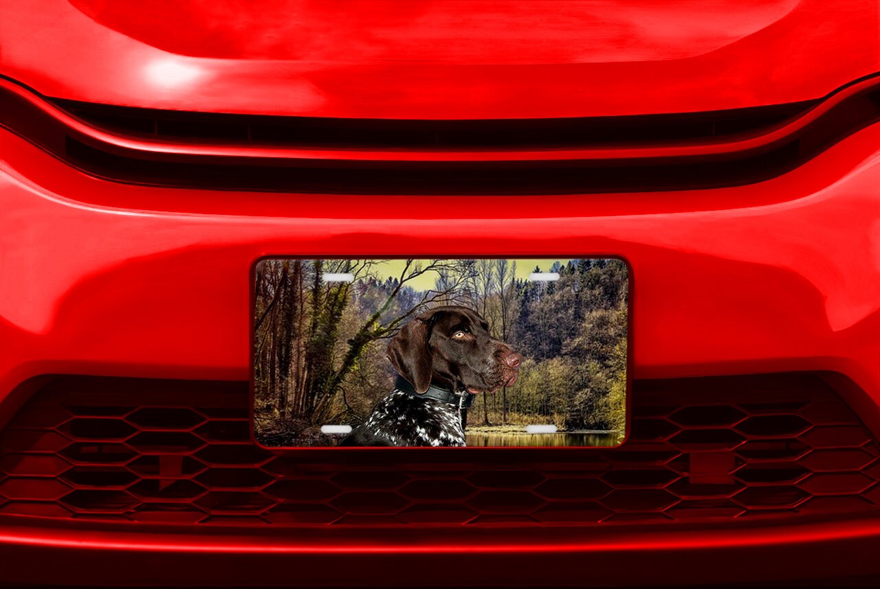 German Short Haired Pointer Pet Lovers Dog Aluminum Vanity License Plate Car Accessory Decorative Front Plate