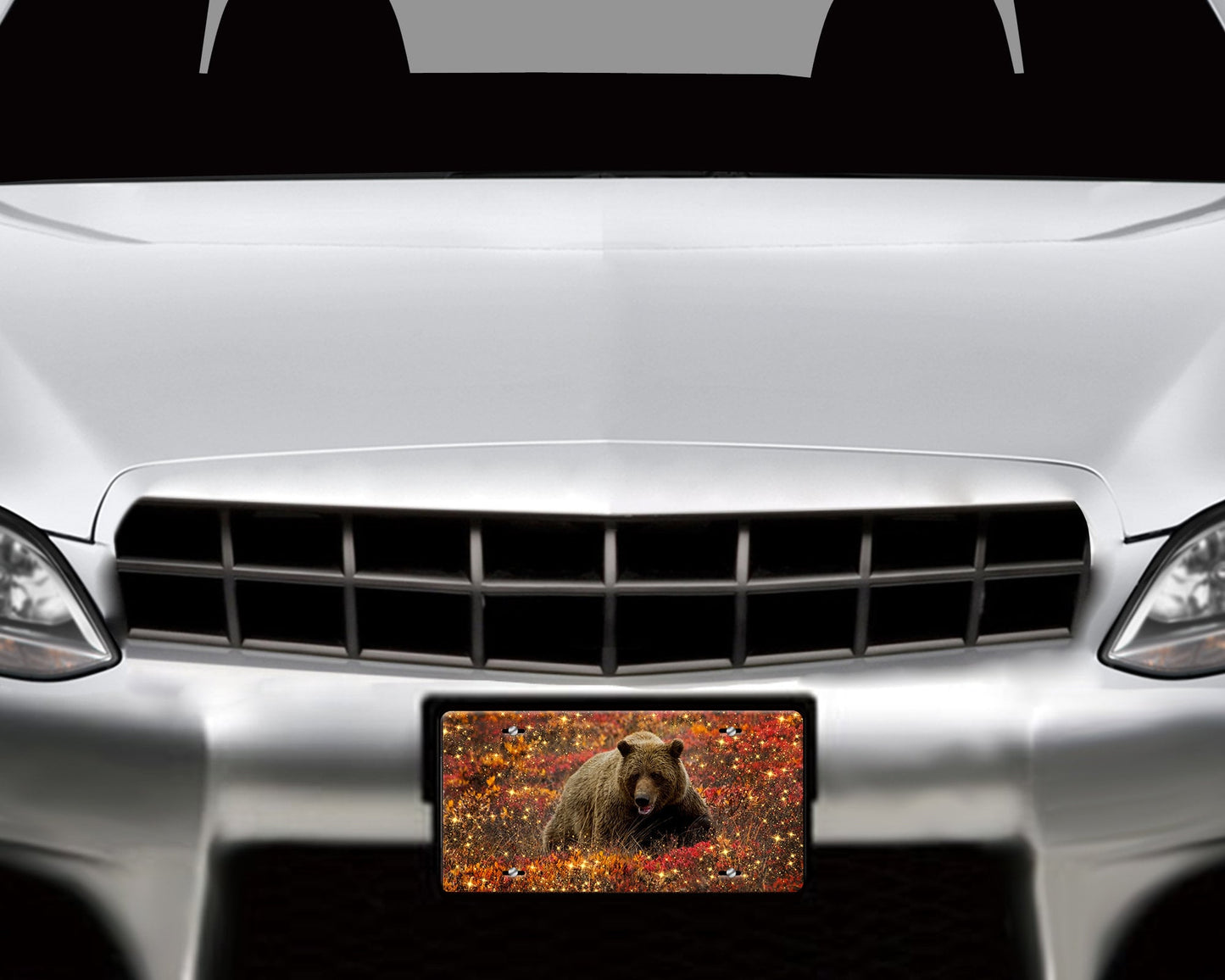 Sparkle Bear Wildlife Print Aluminum Front License Plate, Car Accessory, Vanity Plate