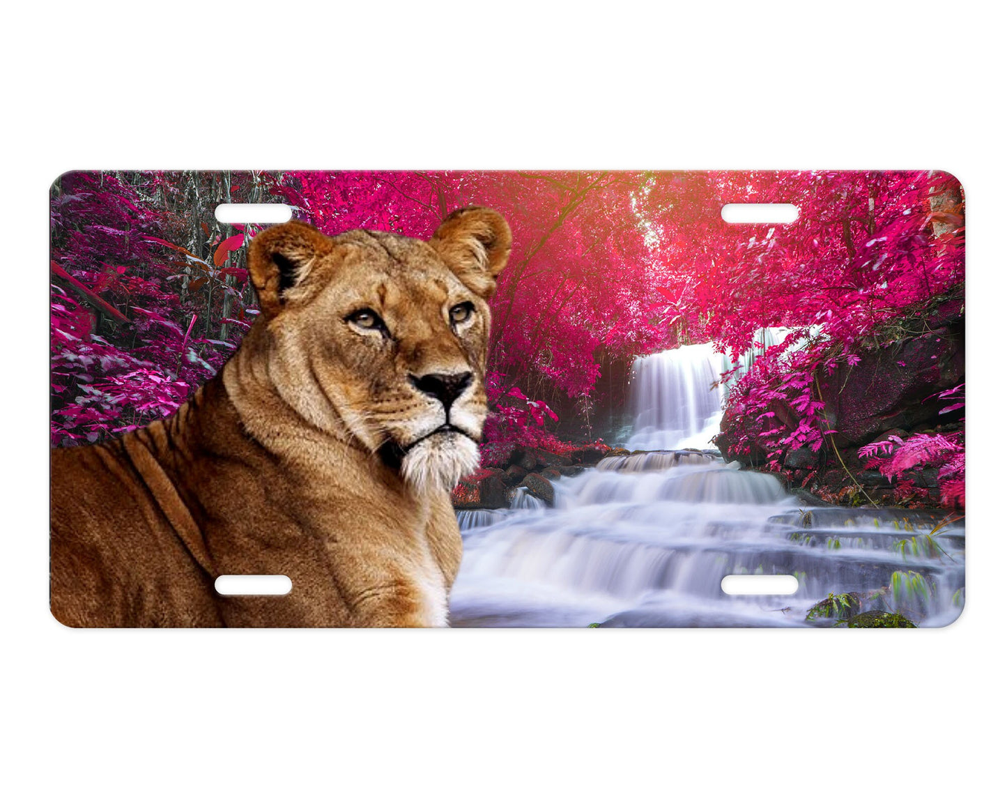 Lioness Wildlife Print Aluminum Front License Plate, Car Accessory, Vanity Plate