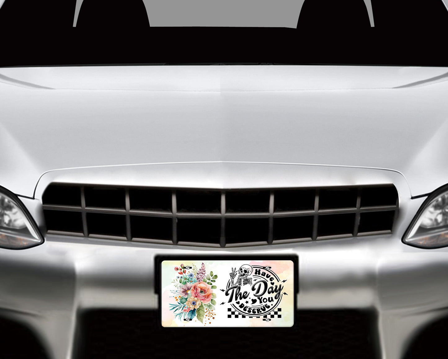 Have the Day You Deserve Aluminum Vanity License Plate Car Accessory Decorative Front Plate