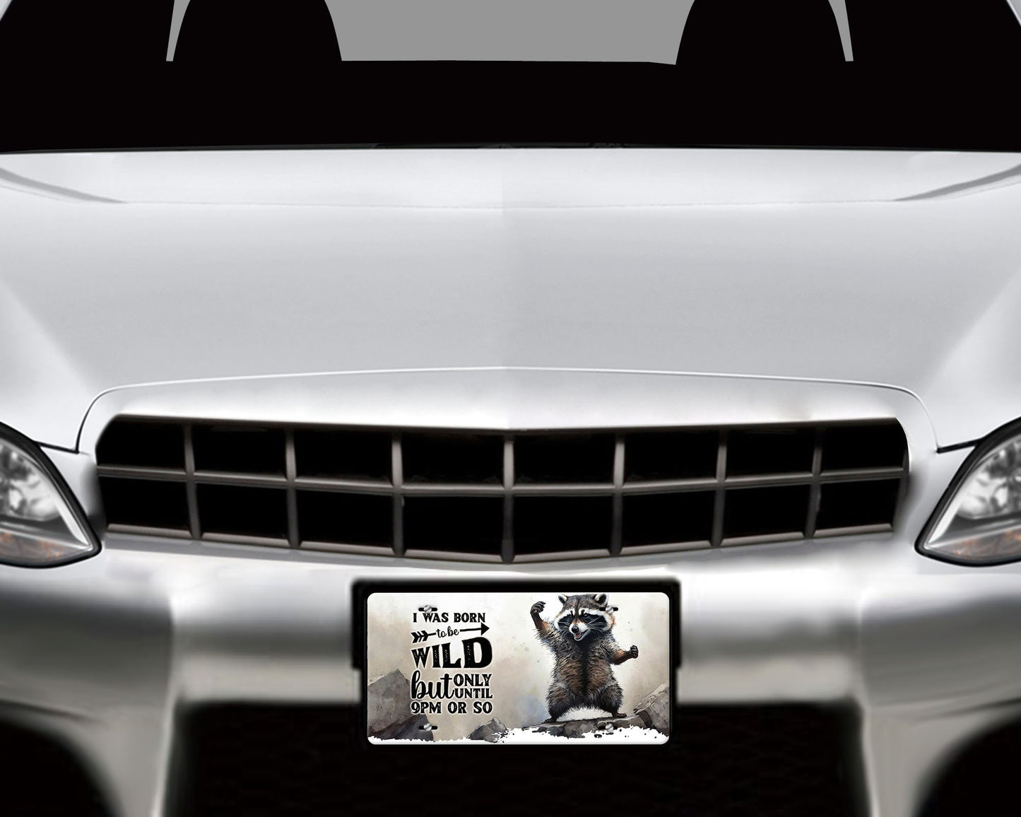 Born to be Wild Raccoon Aluminum Vanity License Plate Car Accessory Decorative Front Plate