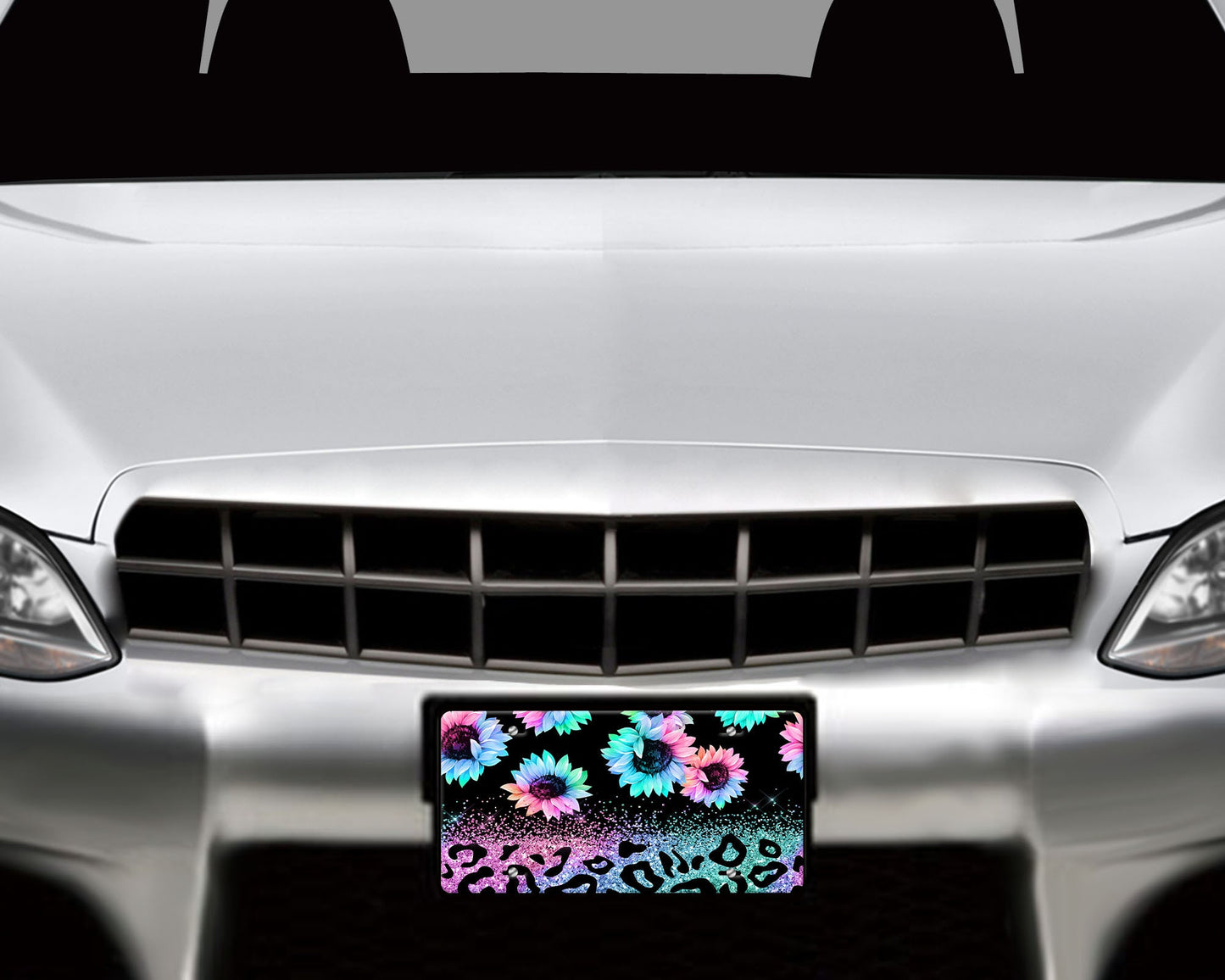 Daisy and Leopard Print Rainbow Aluminum Vanity License Plate Car Accessory Decorative Front Plate