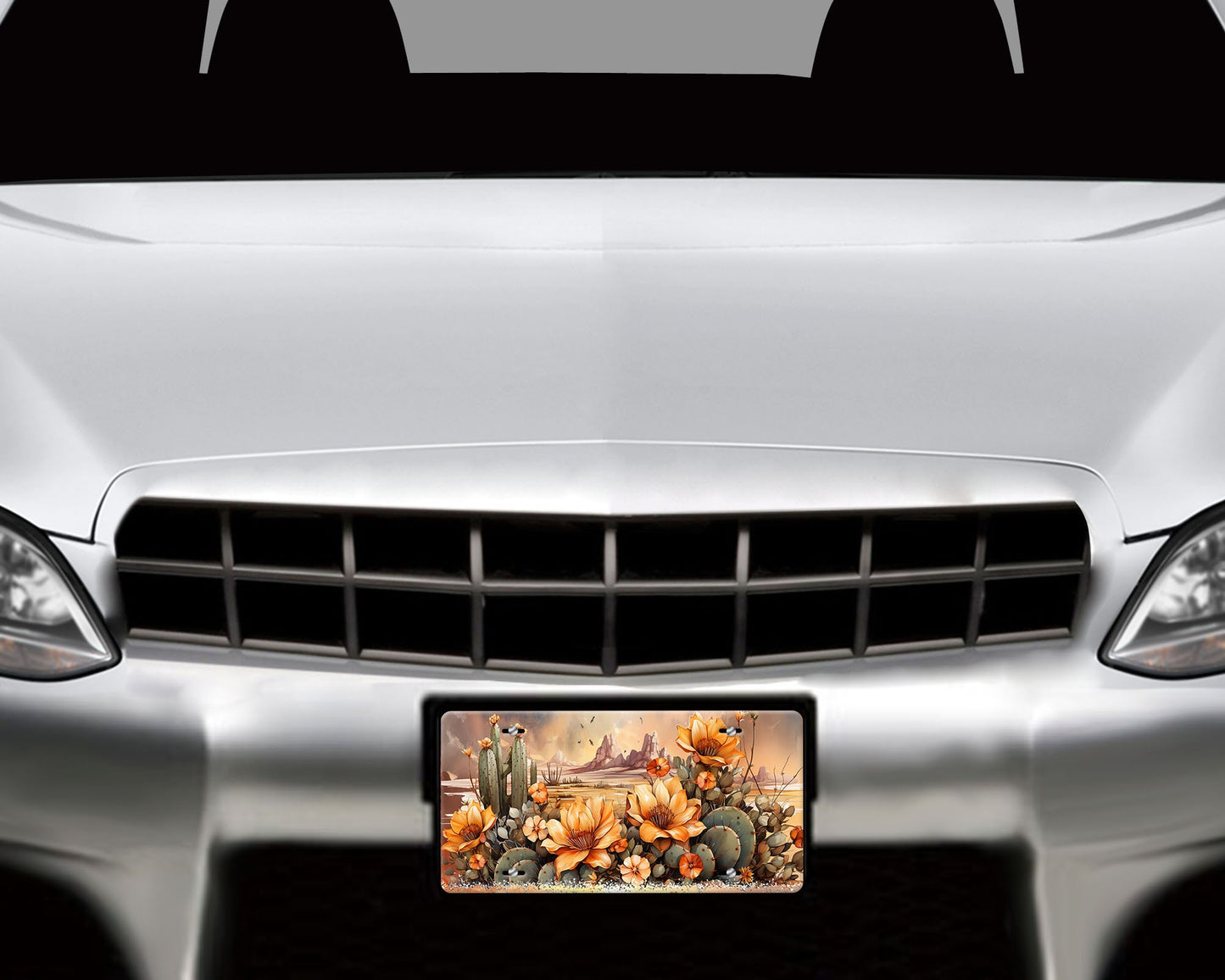 Desert Sunset Aluminum Vanity License Plate Car Accessory Decorative Front Plate