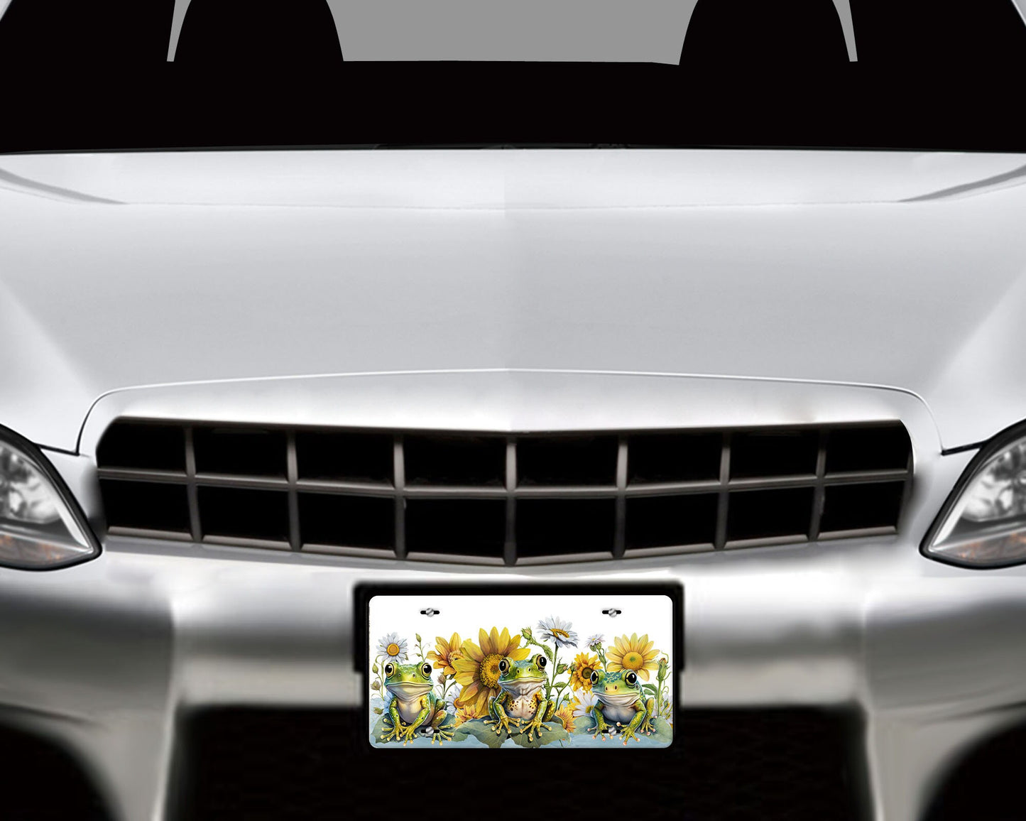 New Release Frogs Aluminum Vanity License Plate Car Accessory Decorative Front Plate