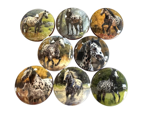 New Release Western Cabinet and Drawer Knobs, Set of 8 Appaloosa Horse, Cabinet Knobs Drawer Knobs and Pulls, Kitchen Cabinet Knobs,