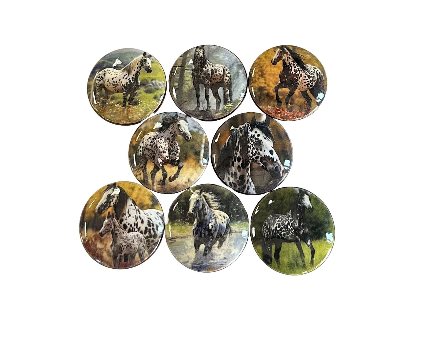 New Release Western Cabinet and Drawer Knobs, Set of 8 Appaloosa Horse, Cabinet Knobs Drawer Knobs and Pulls, Kitchen Cabinet Knobs,