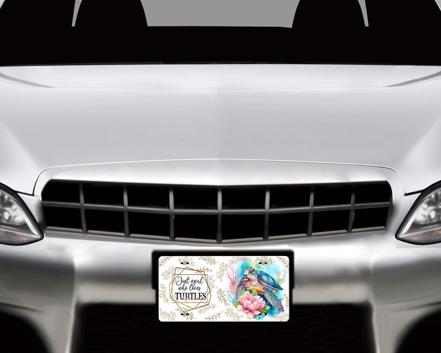 New Release Just a Girl Who Loves Turtles Aluminum Vanity License Plate Car Accessory Decorative Front Plate