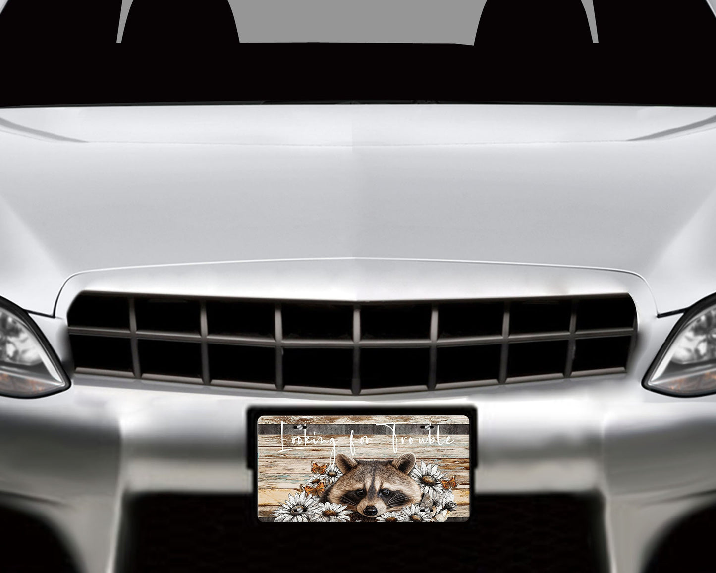 New Release Raccoon Looking for Trouble Printed Aluminum Front License Plate, Car Accessory, Vanity Plate, Cute Car Tag