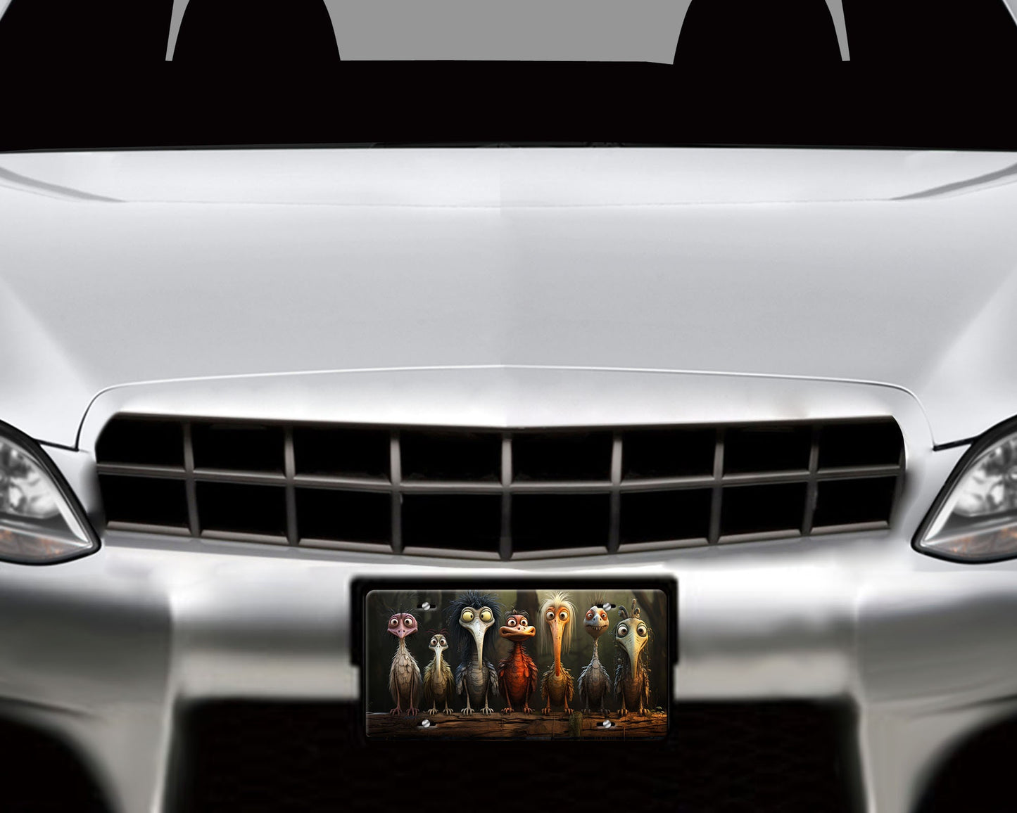 New Release Vanity Front License Plate, Alien Birds Aluminum Vanity License Plate Car Accessory Decorative Front Plate