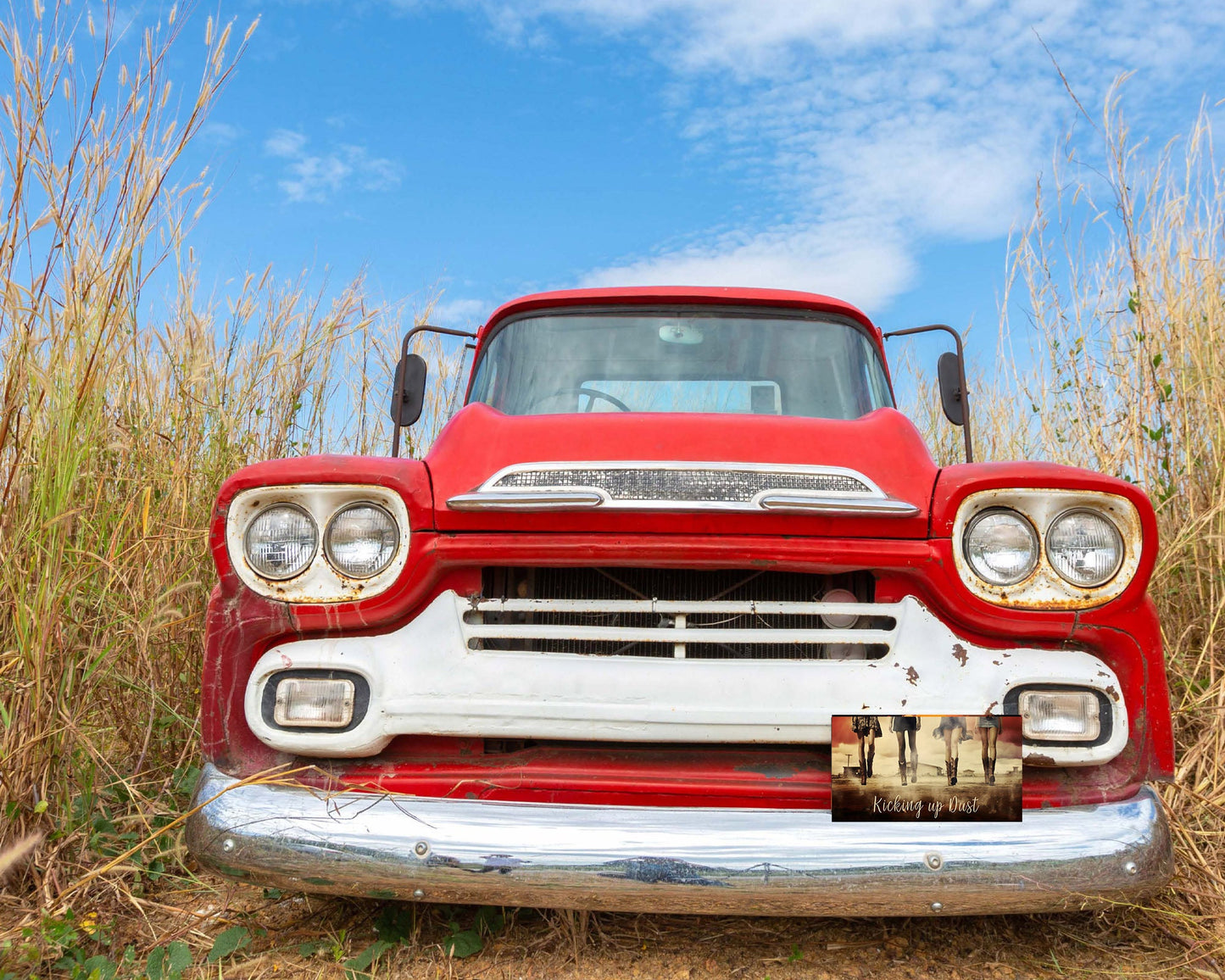 New Release Vanity Front License Plate, Cowgirls Kicking Up Dust Aluminum Vanity License Plate Car Accessory Decorative Front Plate