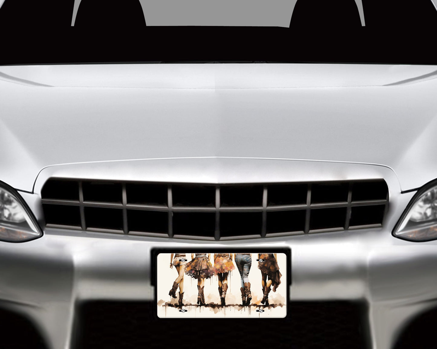 New Release License Plate, Cowgirls and Boots Printed Aluminum Front License Plate, Car Accessory, Vanity Plate, Cute Car Tag
